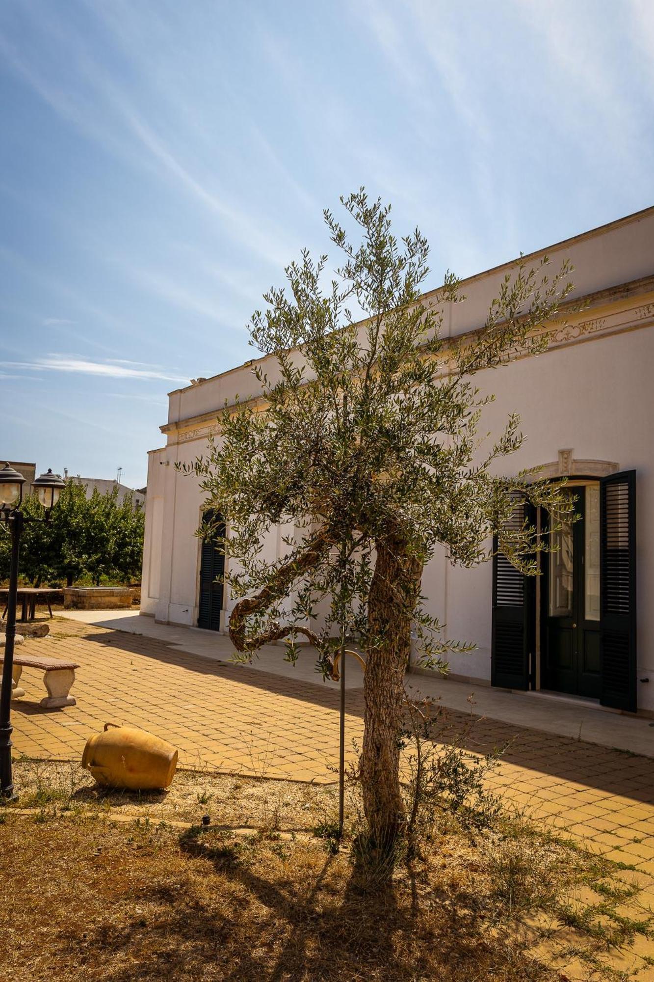 Affittacamere Giardino Delle Zie-Vicino Ospedale Cardinale Panico Tricase Esterno foto